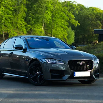 Jaguar